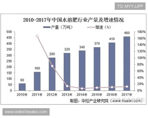 亚博YB数字站：全面解析其发展历程与未来趋势