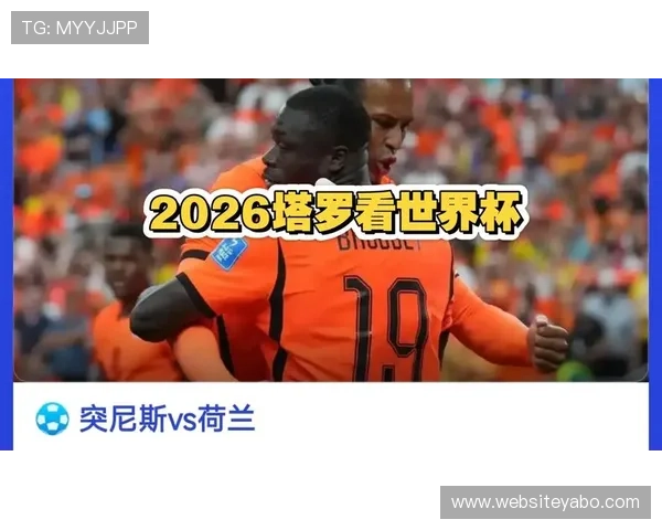 2026年世界杯突尼斯与荷兰比赛的主办城市有哪些，赛事安排及交通指南